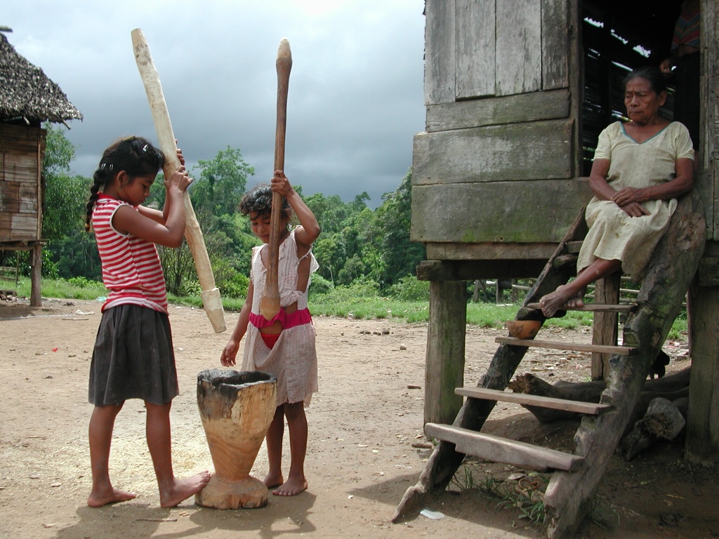 Indigenous Roots