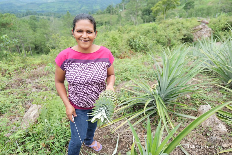 Transformación Agrícola: La Historia de la Familia Bautista&nbsp;Hernández